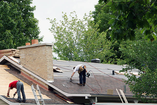 Best Roof Maintenance Services  in Bluefield, VA