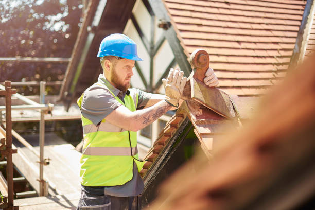 Best Roof Maintenance Services  in Bluefield, VA